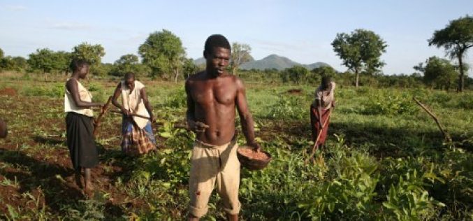 Mozambique: World Bank Loans for Agriculture