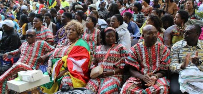 African Day Parade and Festival 2013